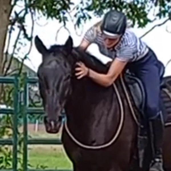 Paardrijlessen in Zwolle - Cornerstone Horsemanship