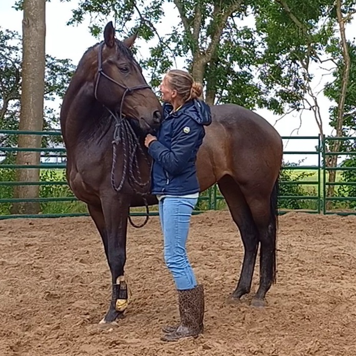 Cornerstone Horsemanship - paardentraining vanuit relatie & passie
