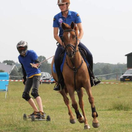 Horseboarden - -Cornerstone Hosemanship - -Clinics  - - demo 